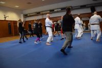 Bild (14)